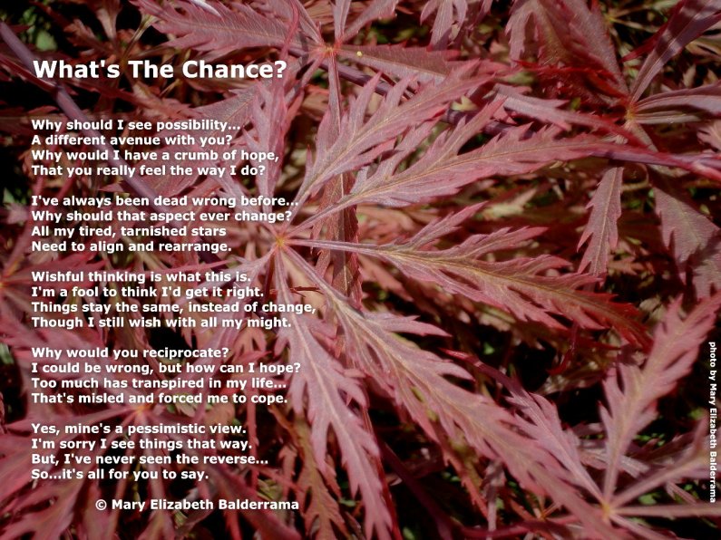 What's The Chance poem photo